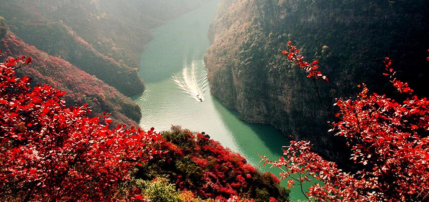 巫山神女峰红叶