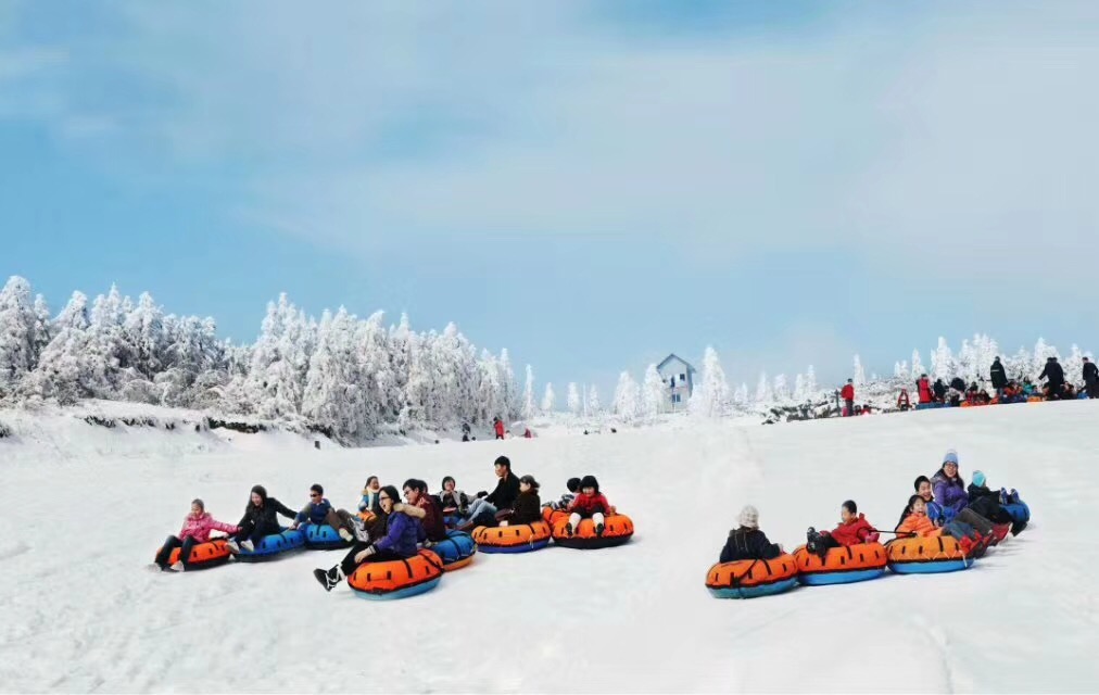 mmexport1545878128890.jpg mmexport1545878128890.jpg