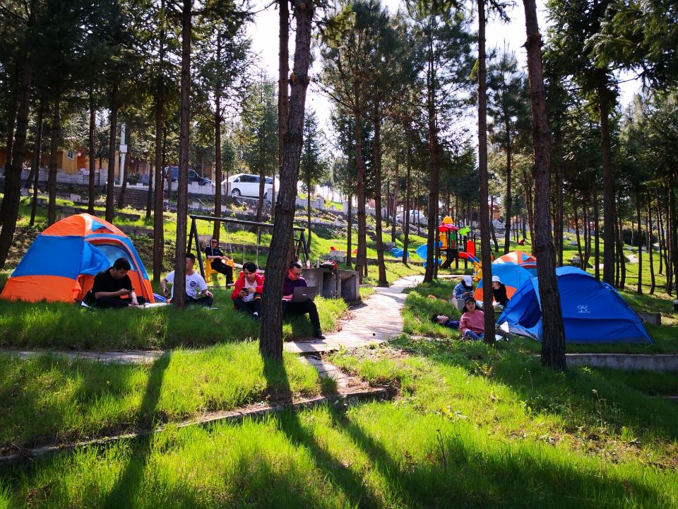 7B30D8CAF732814A5C50336CE394DFBB.jpg 7B30D8CAF732814A5C50336CE394DFBB.jpg