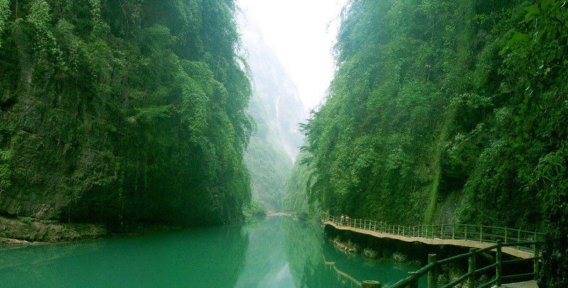 1ad5ad6eddc451da09ec7f43bcfd5266d016327b.jpg 1ad5ad6eddc451da09ec7f43bcfd5266d016327b.jpg