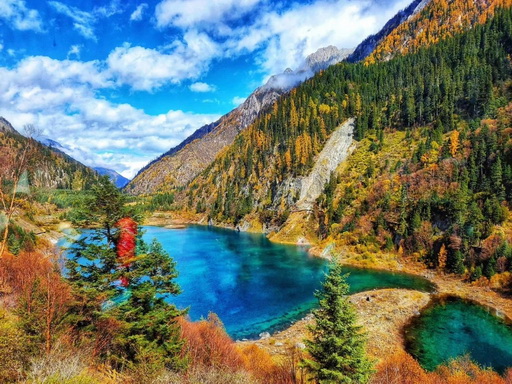 mmexport1573444505813.jpg mmexport1573444505813.jpg