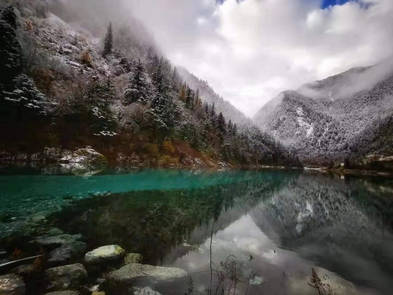 mmexport1573443820960.jpg mmexport1573443820960.jpg