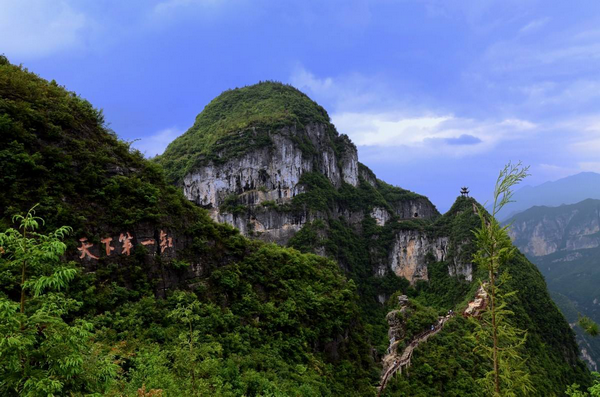 学生王海洋龙缸2.png 学生王海洋龙缸2.png