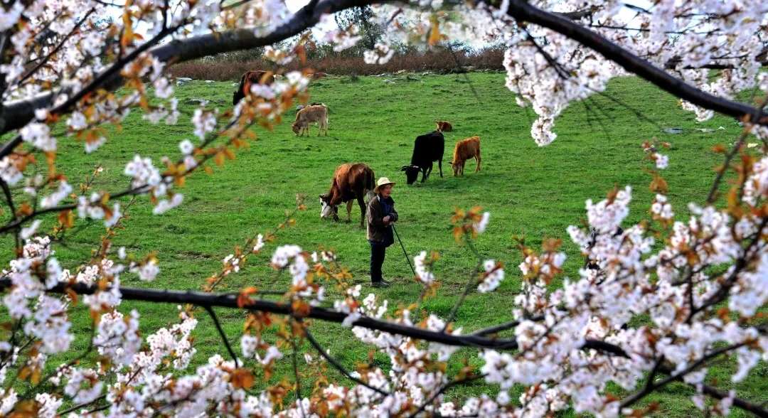 云阳龙缸2.jpg 云阳龙缸2.jpg