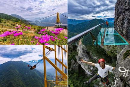 图片1.png 图片1.png