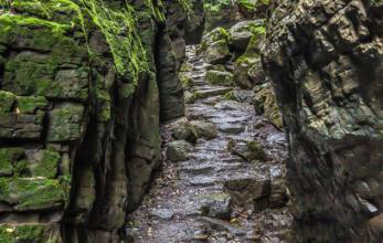 学生谭海军3.png 学生谭海军3.png