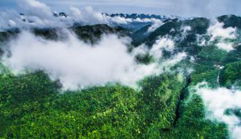 学生谭海军4.png 学生谭海军4.png