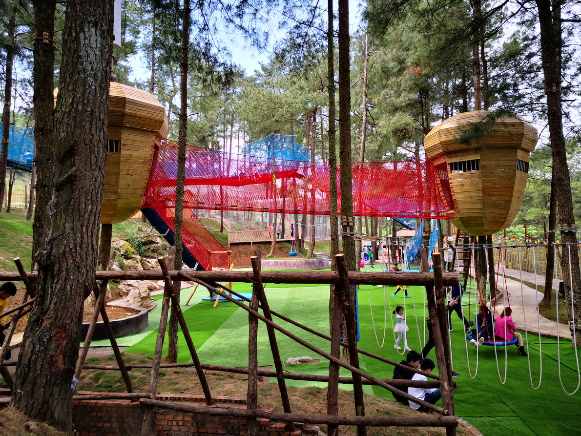 IMG_20190501_113136.jpg IMG_20190501_113136.jpg