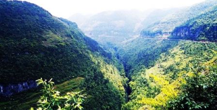 timg (3).jpg timg (3).jpg