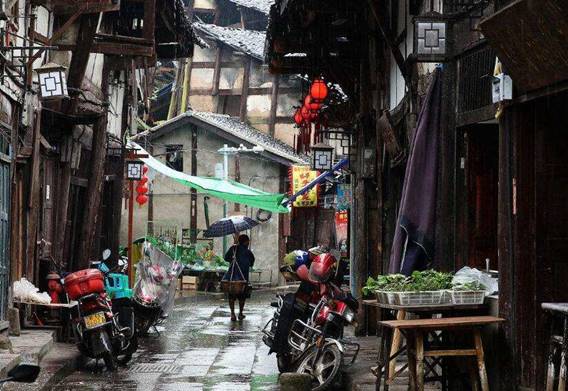 clip_image006.jpg clip_image006.jpg