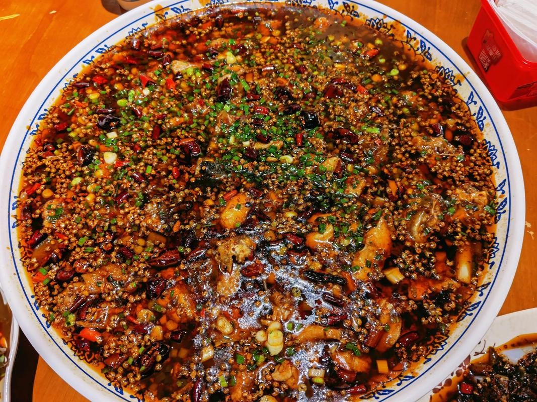 来凤鱼1.jpg 来凤鱼1.jpg