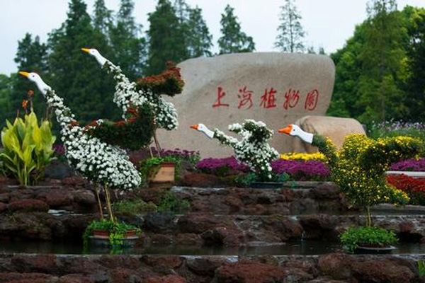 上海植物园位于徐汇区西南部，是一个植物展示及科普教育的综合性植物园。
